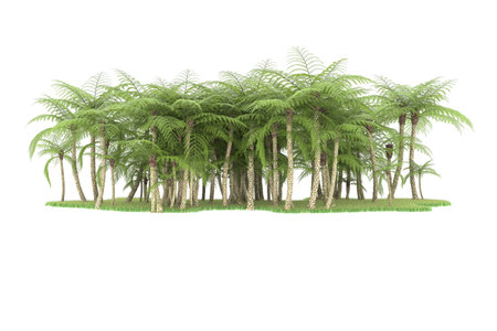 Palm trees isolated on white background. 3d render illustration.の写真素材