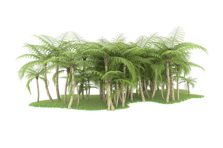 Palm trees isolated on white background. 3d illustration. Render.の写真素材