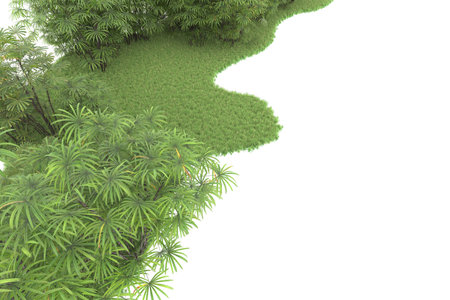 3d render of green grass and trees isolated on white background.の写真素材