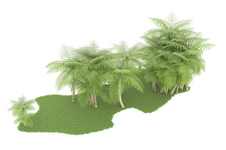 Tropical island with ferns 3d render on white background no shadowの写真素材