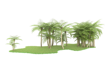 Palm trees isolated on a white background.の写真素材