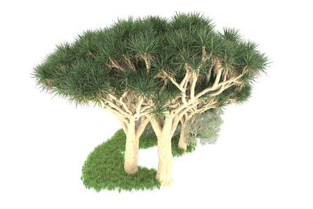 3d rendering of a tree in the grass isolated on white backgroundの写真素材