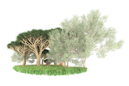Olive trees isolated on white background 3d illustration. High resolutionの写真素材