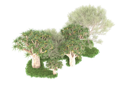 Olive trees on a white background. 3d rendering.の写真素材