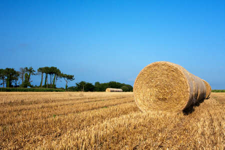 Haystack to alignの写真素材
