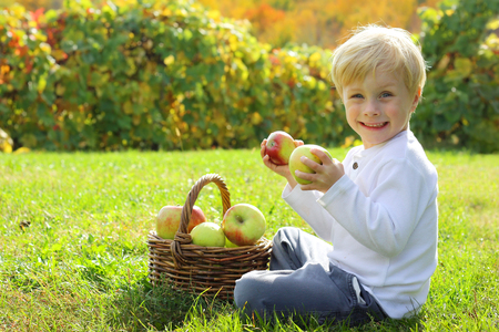 a smiling young child is holding two pieces of fruit in his hands as he sits in the grass at an aple orchard on a beautiful sunny autumn dayの写真素材