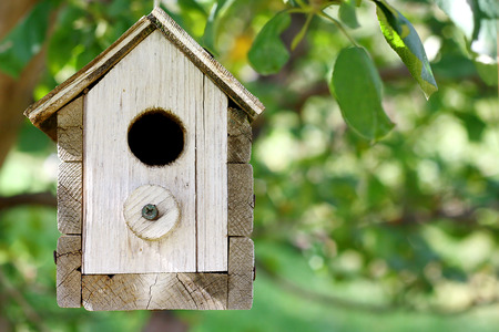 a charming and rustic little wooden bird house painted white is hanging outside in an apple tree