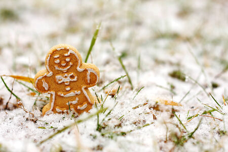 A Christmas Gingerbread Man cookie is standing in the grass on frshly fallen winter snow
