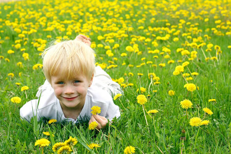 a cute young boy child is laying down in a meadow of Dandelion Flowers on a Spring day.の写真素材