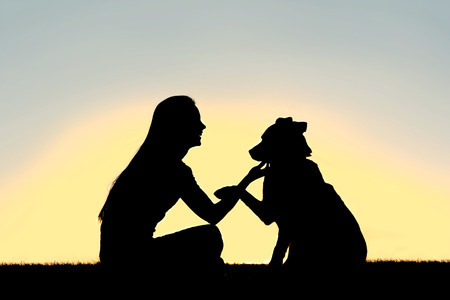 A silhouette of a girl sitting outside, training and playing with her German Shepherd dog, as he shakes her hand isolated in front of a sunset in the sky の写真素材