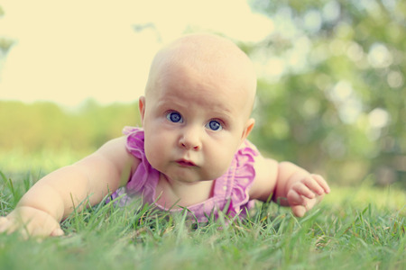 A cute 6 month old baby girl is laying outside on the grass for tummy time, learning to crawl.  Vintage style color.の写真素材