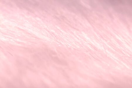 A Macro close up blurred abstract background of synthetic, silvery, white and pink fur textured...