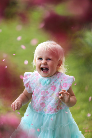 A happy and beautiful little two year old toddler girl is looking up and smiling as the pink flower petals fall off the branches of a blooming Prairie Fire Crabapple tree on a spring day.の写真素材