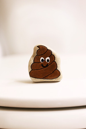A rock is painted like a poop with a smiling face is sitting on a closed toilet in a bathroom.