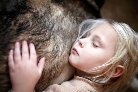 A 4 year ol little toddler child is hugging and napping on the soft fur of her beloved family dog.の写真素材