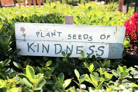 A small white wooden handmade sign in a church garden reads plant seeds of kindness.