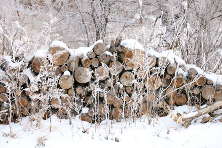 A pile of wood logs is stacked outside, uncovered in the winter snow.の写真素材