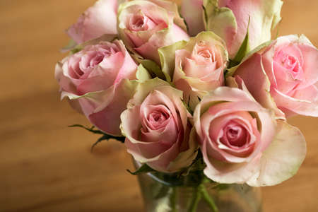 Bouquet of cream, pink and pink color Cezanne rosesの写真素材