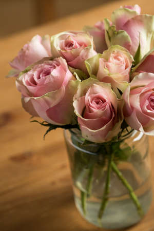 Bouquet of cream, pink and pink color Cezanne rosesの写真素材