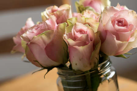 Bouquet of cream, pink and pink color Cezanne rosesの写真素材