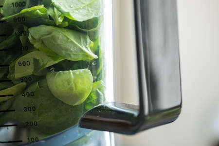Spinach leaves for green smoothie in domestic kitchen blenderの写真素材