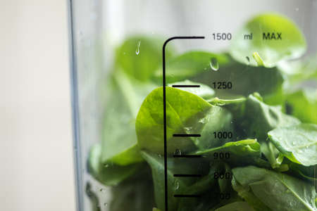 Spinach leaves for green smoothie in domestic kitchen blenderの写真素材