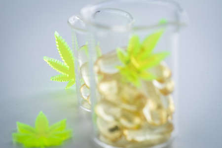 Pills, tablets,  capsules of cannabis marijuana hemp and CBD in lab scale glass beaker as pain killer and medicalの写真素材
