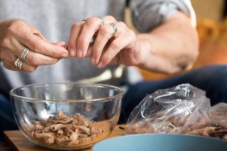 Woman peeling German Friesland north sea shrimps or crabs in domestic kitchen