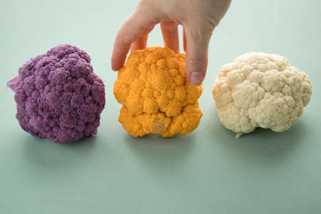 Woman choosing colorful rainbow cauliflower in purple, orange and white in row on pastel green backgroundの写真素材