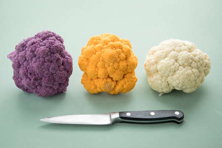 Colorful rainbow cauliflower in purple, orange and white in row with knife on pastel green backgroundの写真素材