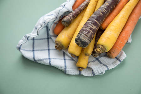 Colorful rainbow carrots in purple, orange and yellow on kitchen towel on pastel mint green backgroundの写真素材