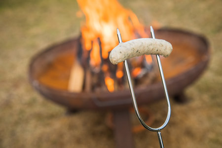 German pork Bratwurst sausage roasting on skewer over campfire of metal fire bowl in gardenの写真素材