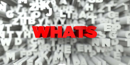 WHATS -  Red text on typography background - 3D rendered royalty free stock image. This image can be used for an online website banner ad or a print postcard.の写真素材