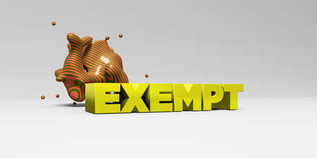 EXEMPT -  color type on white studiobackground with design element - 3D rendered royalty free stock picture. This image can be used for an online website banner ad or a print postcard.の写真素材