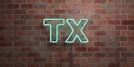 TX - fluorescent Neon tube Sign on brickwork - Front view - 3D rendered royalty free stock picture. Can be used for online banner ads and direct mailers.の写真素材