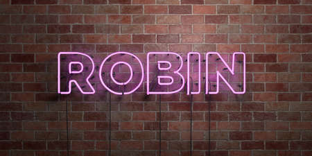 ROBIN - fluorescent Neon tube Sign on brickwork - Front view - 3D rendered royalty free stock picture. Can be used for online banner ads and direct mailers.の写真素材