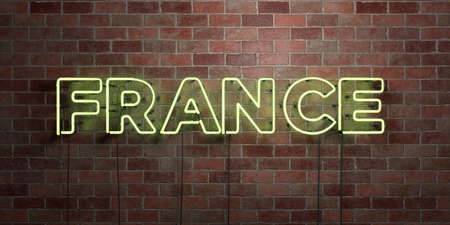 FRANCE - fluorescent Neon tube Sign on brickwork - Front view - 3D rendered royalty free stock picture. Can be used for online banner ads and direct mailers.の写真素材