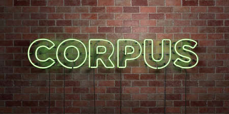 CORPUS - fluorescent Neon tube Sign on brickwork - Front view - 3D rendered royalty free stock picture. Can be used for online banner ads and direct mailers.の写真素材