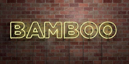 BAMBOO - fluorescent Neon tube Sign on brickwork - Front view - 3D rendered royalty free stock picture. Can be used for online banner ads and direct mailers.の写真素材