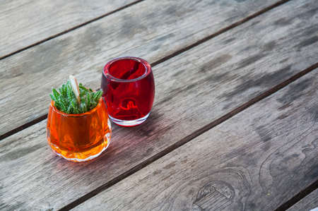 Little Cactus on Tableの写真素材