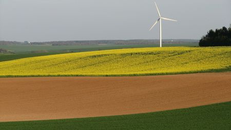 fields with a windmillの写真素材