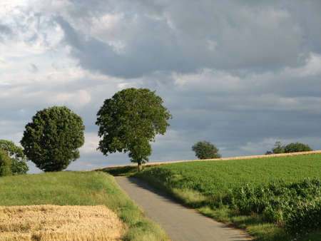 Country roadの写真素材
