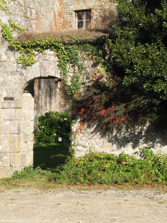 Old gate in country の写真素材