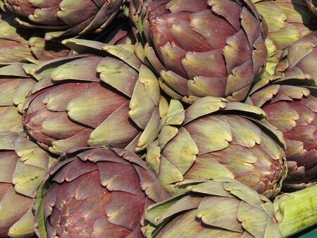 artichokesの写真素材