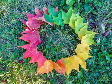 Display of Fall colors in Michigan - USA