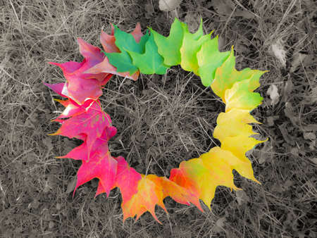 Display of Fall colors in Michigan - USAの写真素材