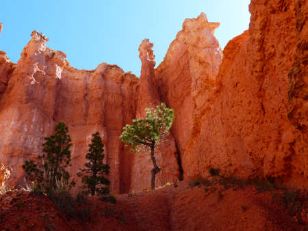Sunrise in Bryce Canyon National Park - Utah - USAの写真素材