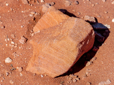 Details of the desert near Page Arizona
