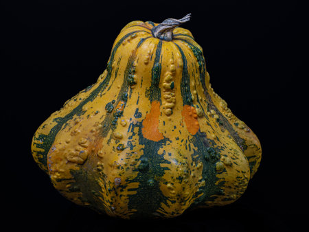Fresh pumpkin isolated on a black backgroundの写真素材