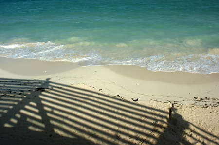 shadows in the beachの写真素材